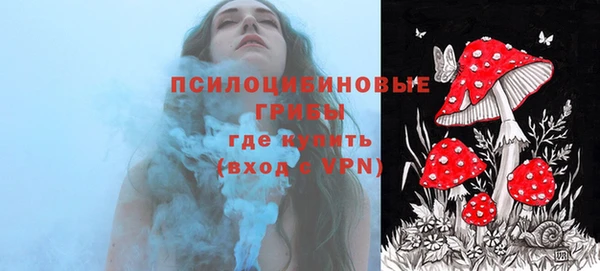 гидра Медногорск