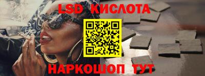 шишки Изобильный