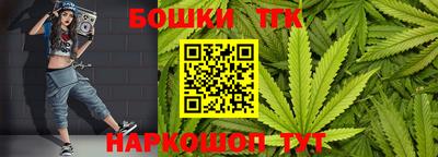 шишки Изобильный