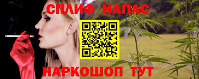 шишки Изобильный