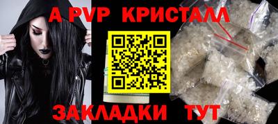 apvp Кингисепп