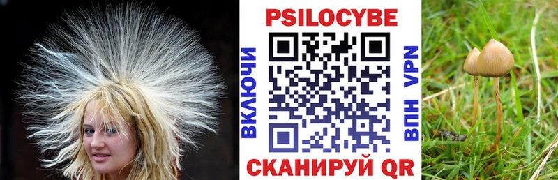 Галлюциногенные грибы GOLDEN TEACHER  Ревда 