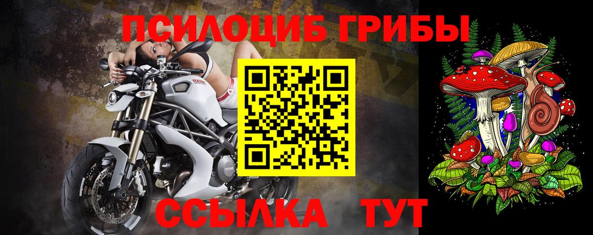 Ревда  Галлюциногенные грибы MAGIC MUSHROOMS  Вход с VPN 