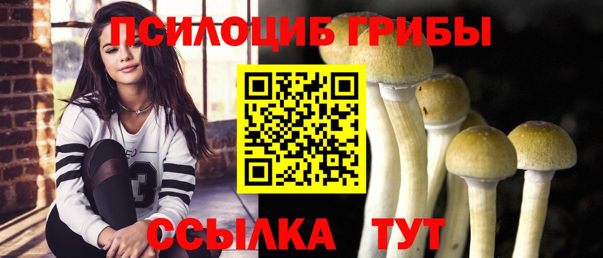 Псилоцибиновые грибы ЛСД Ревда